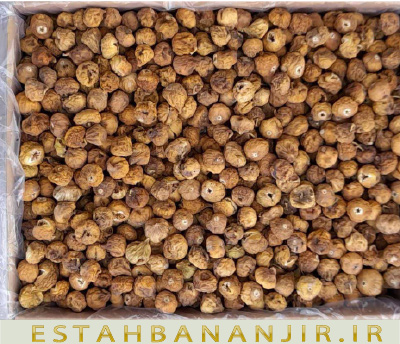 خرید انجیر لاکی خرید انجیر لاکی